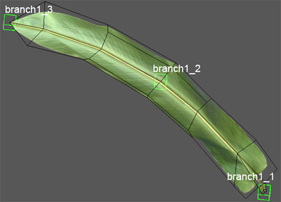 Image:TouchBending_branch_thumb.jpg
